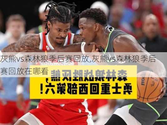 灰熊vs森林狼季后赛回放,灰熊vs森林狼季后赛回放在哪看