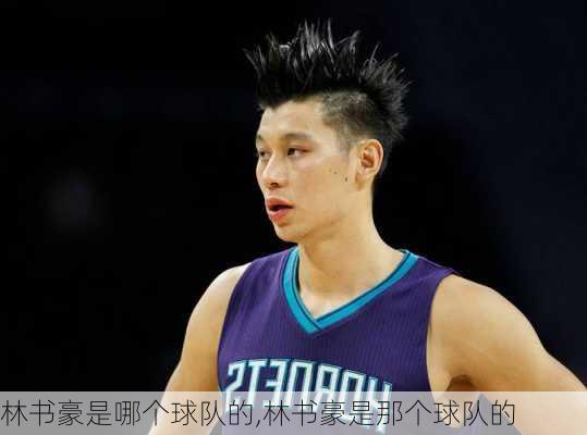 林书豪是哪个球队的,林书豪是那个球队的