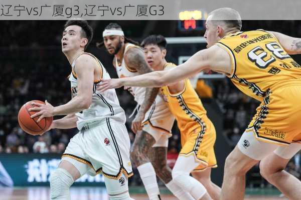 辽宁vs广厦g3,辽宁vs广厦G3