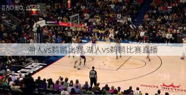 湖人vs鹈鹕比赛,湖人vs鹈鹕比赛直播