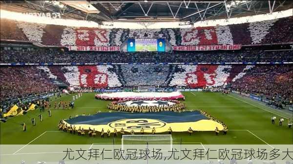 尤文拜仁欧冠球场,尤文拜仁欧冠球场多大