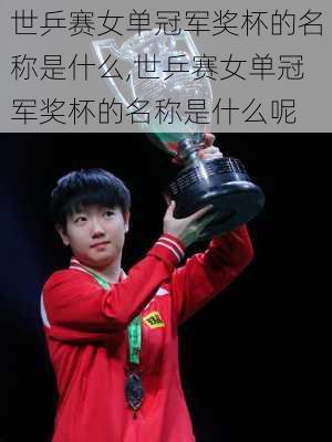 世乒赛女单冠军奖杯的名称是什么,世乒赛女单冠军奖杯的名称是什么呢