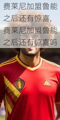 费莱尼加盟鲁能之后还有惊喜,费莱尼加盟鲁能之后还有惊喜吗