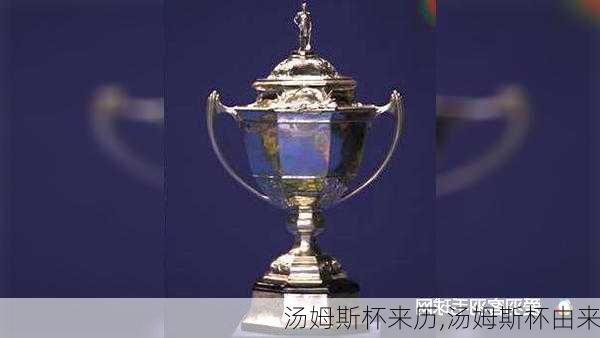 汤姆斯杯来历,汤姆斯杯由来