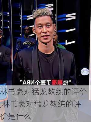 林书豪对猛龙教练的评价,林书豪对猛龙教练的评价是什么