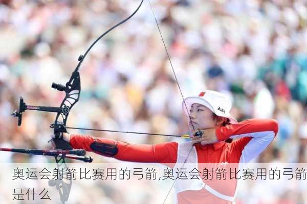 奥运会射箭比赛用的弓箭,奥运会射箭比赛用的弓箭是什么