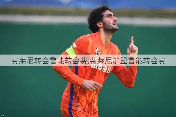 费莱尼转会鲁能转会费,费莱尼加盟鲁能转会费