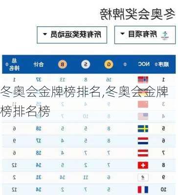 冬奥会金牌榜排名,冬奥会金牌榜排名榜
