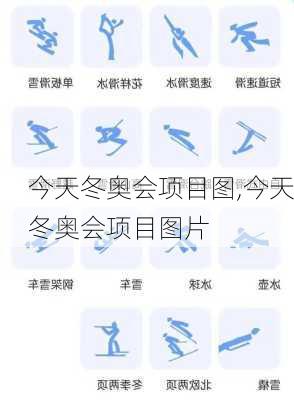 今天冬奥会项目图,今天冬奥会项目图片