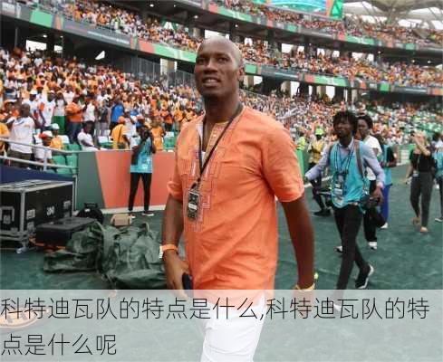 科特迪瓦队的特点是什么,科特迪瓦队的特点是什么呢
