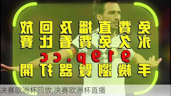 决赛欧洲杯回放,决赛欧洲杯直播