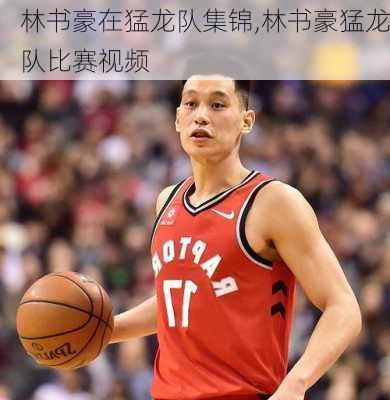 林书豪在猛龙队集锦,林书豪猛龙队比赛视频