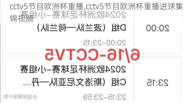 cctv5节目欧洲杯重播,cctv5节目欧洲杯重播进球集锦视频