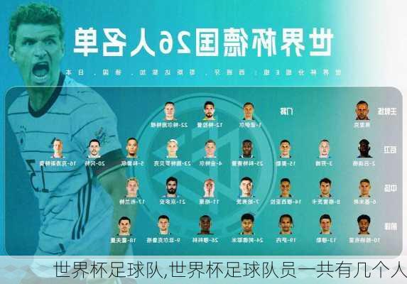 世界杯足球队,世界杯足球队员一共有几个人