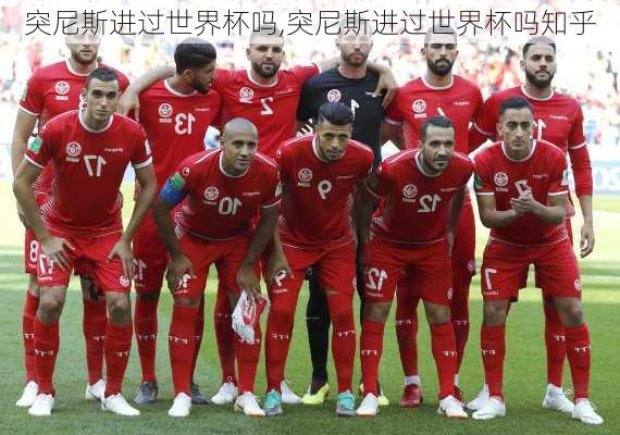突尼斯进过世界杯吗,突尼斯进过世界杯吗知乎