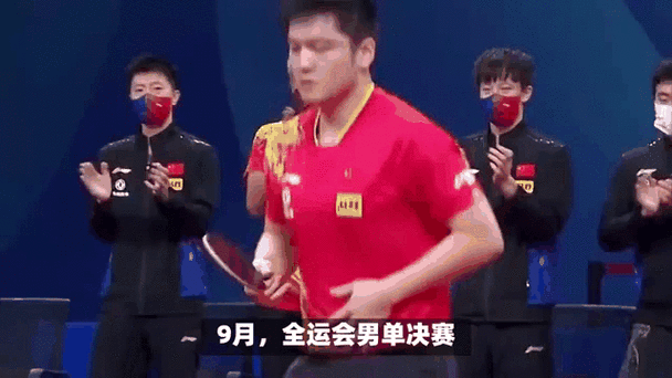 马龙 樊振东交手记录,马龙樊振东交手记录统计