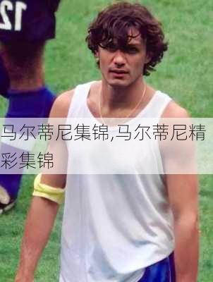 马尔蒂尼集锦,马尔蒂尼精彩集锦