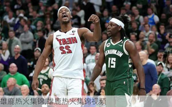 雄鹿热火集锦,雄鹿热火集锦视频