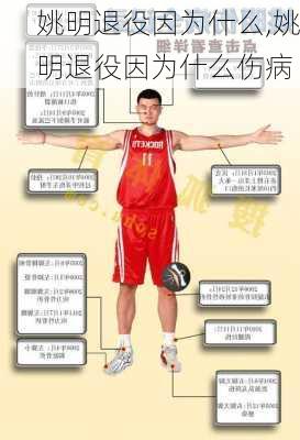 姚明退役因为什么,姚明退役因为什么伤病
