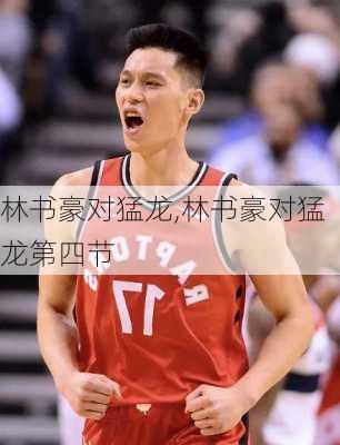 林书豪对猛龙,林书豪对猛龙第四节
