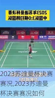 2023苏迪曼杯决赛赛况,2023苏迪曼杯决赛赛况如何