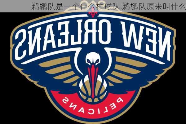 鹈鹕队是一个什么样球队,鹈鹕队原来叫什么