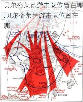 贝尔格莱德游击队位置在哪,贝尔格莱德游击队位置在哪