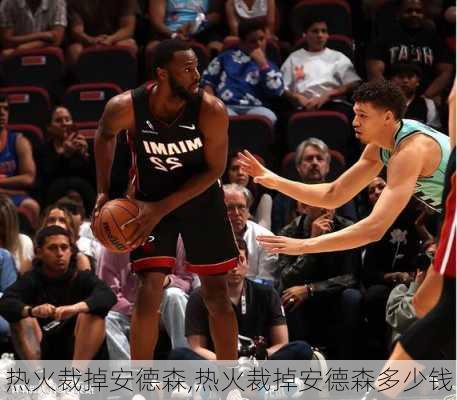 热火裁掉安德森,热火裁掉安德森多少钱