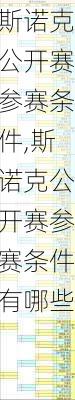 斯诺克公开赛参赛条件,斯诺克公开赛参赛条件有哪些