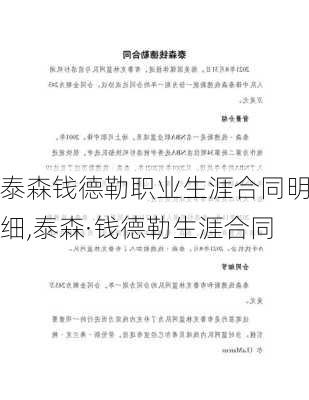 泰森钱德勒职业生涯合同明细,泰森·钱德勒生涯合同