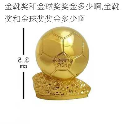 金靴奖和金球奖奖金多少啊,金靴奖和金球奖奖金多少啊