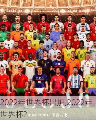 2022年世界杯出炉,2022年世界杯?
