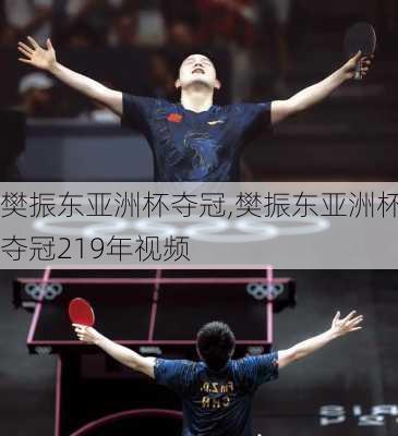 樊振东亚洲杯夺冠,樊振东亚洲杯夺冠219年视频