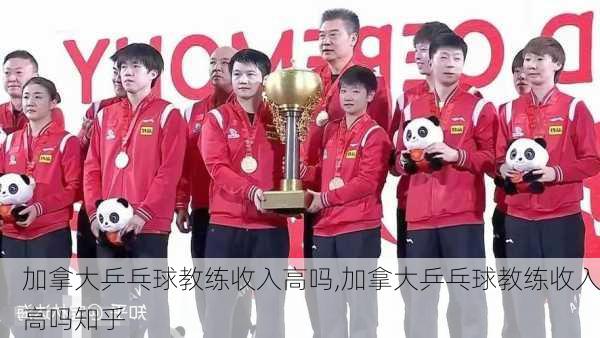 加拿大乒乓球教练收入高吗,加拿大乒乓球教练收入高吗知乎