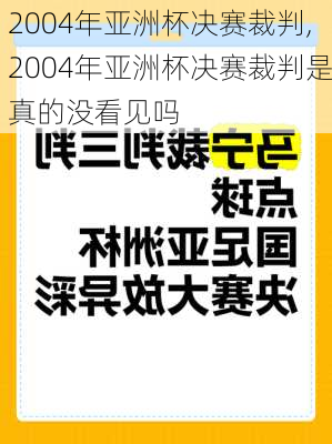 2004年亚洲杯决赛裁判,2004年亚洲杯决赛裁判是真的没看见吗