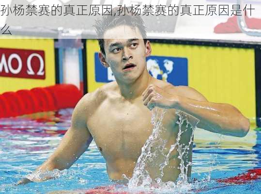孙杨禁赛的真正原因,孙杨禁赛的真正原因是什么
