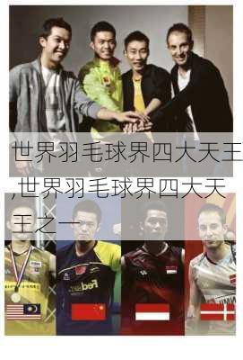 世界羽毛球界四大天王,世界羽毛球界四大天王之一