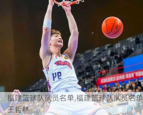 福建篮球队队员名单,福建篮球队队员名单王哲林