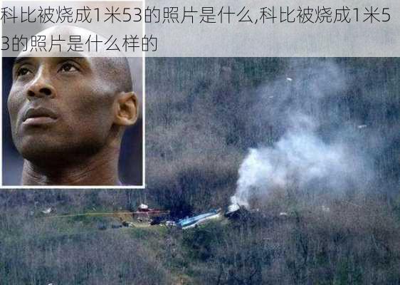 科比被烧成1米53的照片是什么,科比被烧成1米53的照片是什么样的