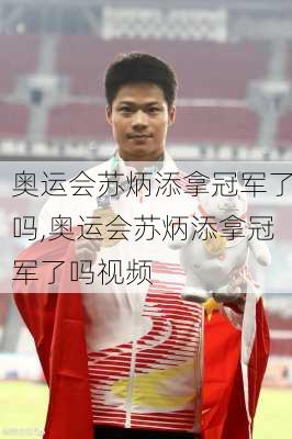 奥运会苏炳添拿冠军了吗,奥运会苏炳添拿冠军了吗视频