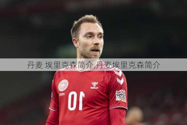 丹麦 埃里克森简介,丹麦埃里克森简介