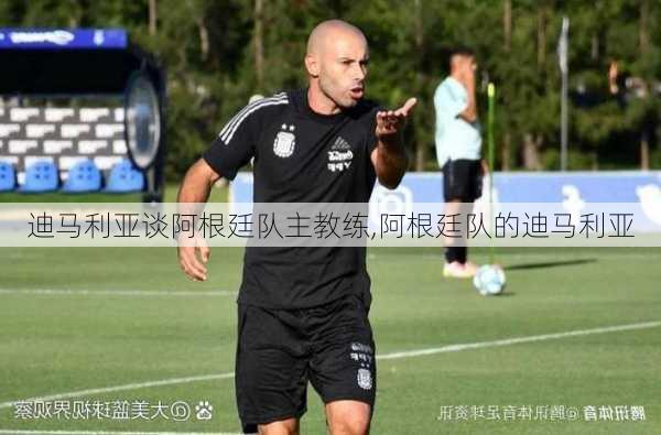 迪马利亚谈阿根廷队主教练,阿根廷队的迪马利亚