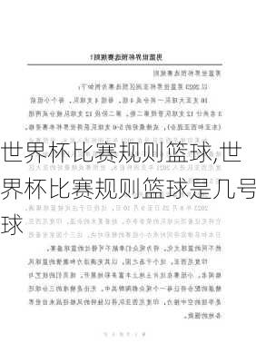 世界杯比赛规则篮球,世界杯比赛规则篮球是几号球