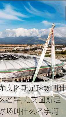 尤文图斯足球场叫什么名字,尤文图斯足球场叫什么名字啊