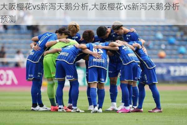 大阪樱花vs新泻天鹅分析,大阪樱花vs新泻天鹅分析预测