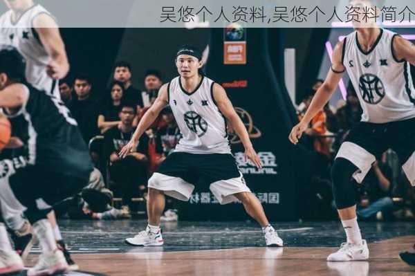 吴悠个人资料,吴悠个人资料简介