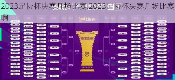 2023足协杯决赛几场比赛,2023足协杯决赛几场比赛啊