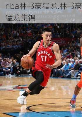 nba林书豪猛龙,林书豪猛龙集锦