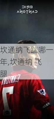 坎通纳飞踹哪一年,坎通纳 飞腿