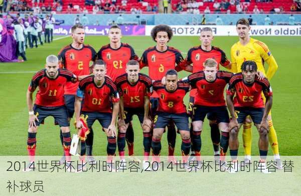 2014世界杯比利时阵容,2014世界杯比利时阵容 替补球员